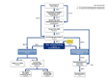 Das Organigramm der EHW AG